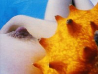 , Pipilotti Rist, 1992