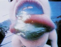 , Pipilotti Rist, 1992